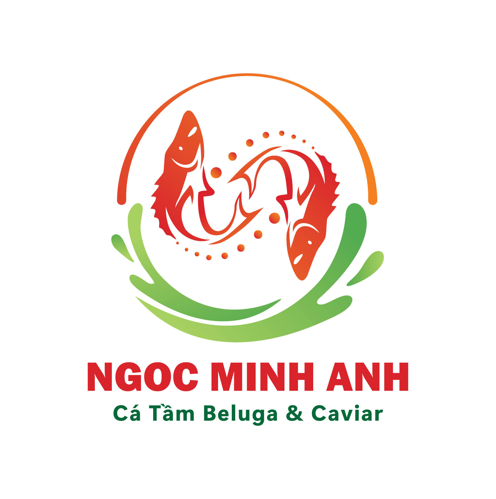 Ngọc Minh Anh