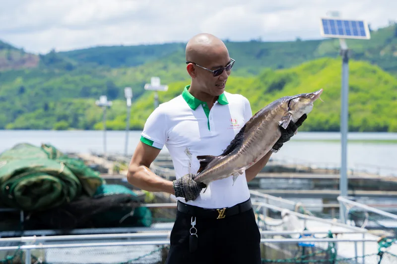 Cá Tầm Beluga Là Gì? Vì Sao Được Gọi Là 'Vàng Trắng'?