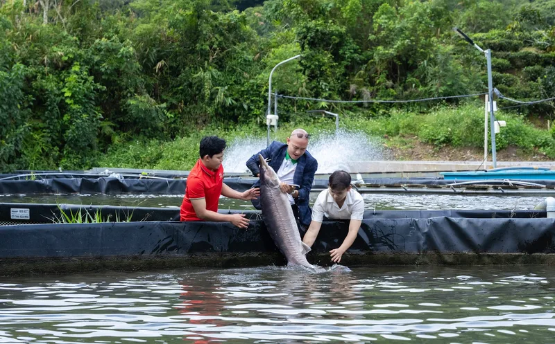 Công Thức Nấu Lẩu Cá Tầm Chua Cay Chuẩn Vị Nhà Hàng Tại Nhà