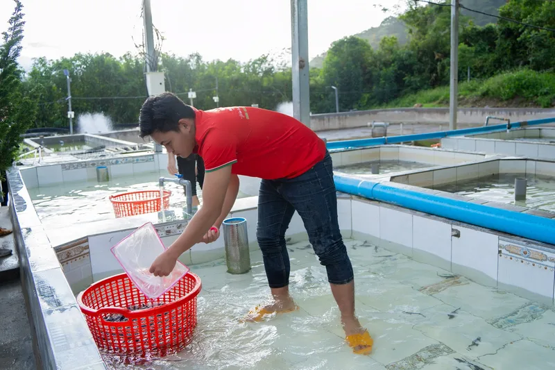 Caviar Là Gì? Trứng Cá Muối Nga (Russian Caviar) Và Cách Ăn Đúng