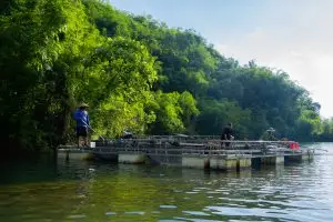 Hồ Đồng Nai 4 - môi trường nuôi cá tầm tự nhiên