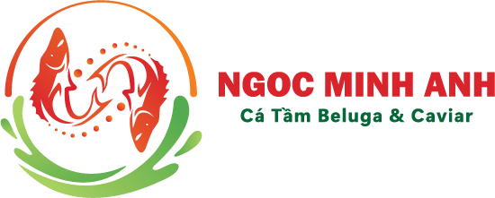 cropped-Logo_Ngang.png