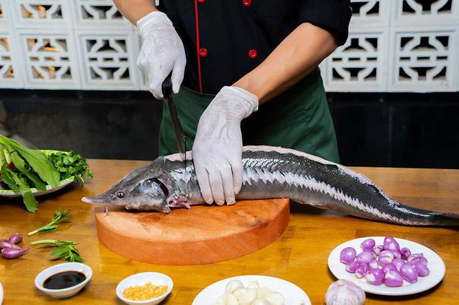 Đầu bếp chế biến món cá tầm Ngọc Minh Anh
