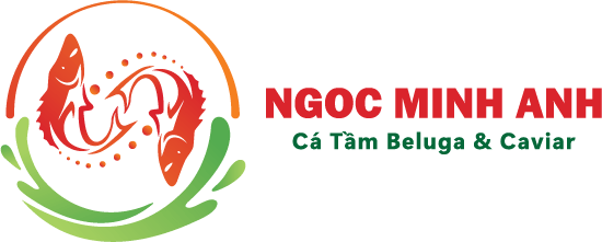 Ngọc Minh Anh - Cá Tầm Beluga & Caviar