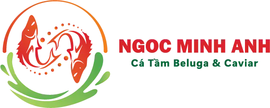 Ngọc Minh Anh - Cá Tầm Beluga & Caviar