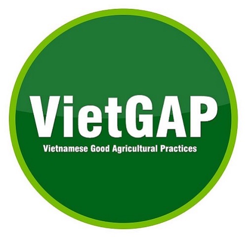 Vietgap