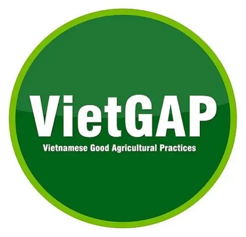 Vietgap