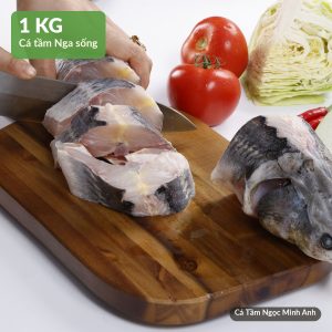 Cá Tầm sống 1kg – Cá Tầm Ngọc Minh Anh