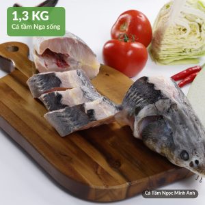 Cá Tầm sống 1,3kg – Cá Tầm Ngọc Minh Anh