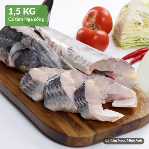 Cá Tầm sống 1,5kg – Cá Tầm Ngọc Minh Anh