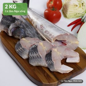 Cá Tầm sống 2kg – Cá Tầm Ngọc Minh Anh