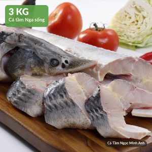 Cá Tầm sống 3kg – Cá Tầm Ngọc Minh Anh